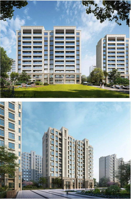 太倉城區新盤即將面世，規劃13幢住宅產品，策劃代理細節曝光